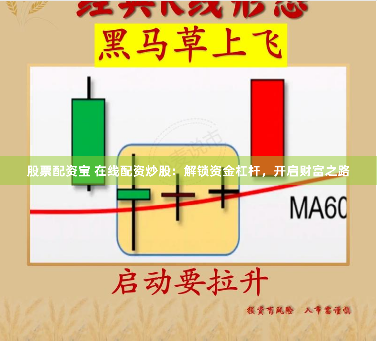 股票配资宝 在线配资炒股：解锁资金杠杆，开启财富之路