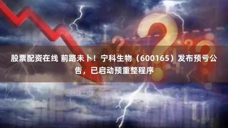 股票配资在线 前路未卜！宁科生物（600165）发布预亏公告，已启动预重整程序