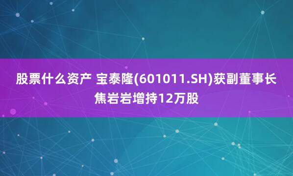 股票什么资产 宝泰隆(601011.SH)获副董事长焦岩岩增持12万股