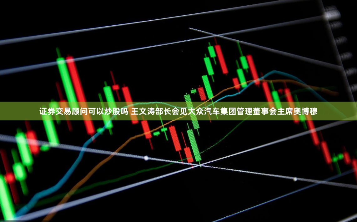 证券交易顾问可以炒股吗 王文涛部长会见大众汽车集团管理董事会主席奥博穆