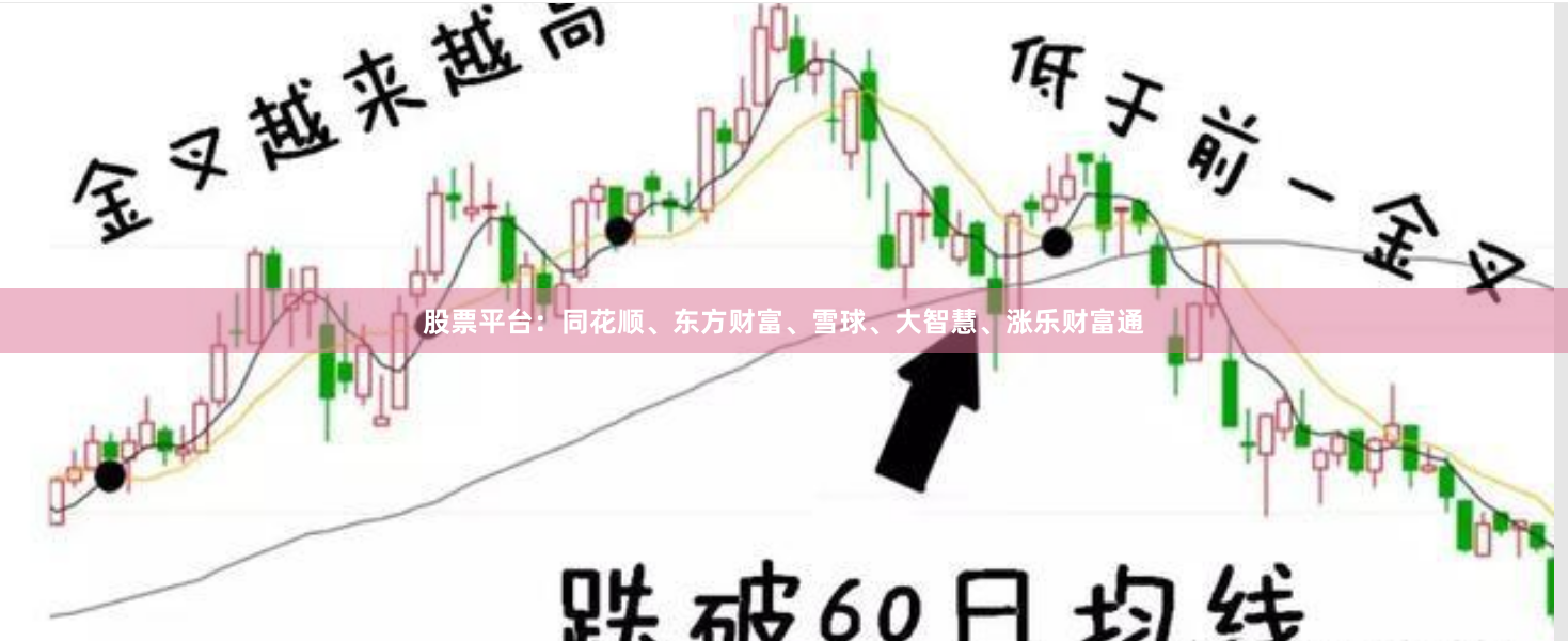 股票平台：同花顺、东方财富、雪球、大智慧、涨乐财富通