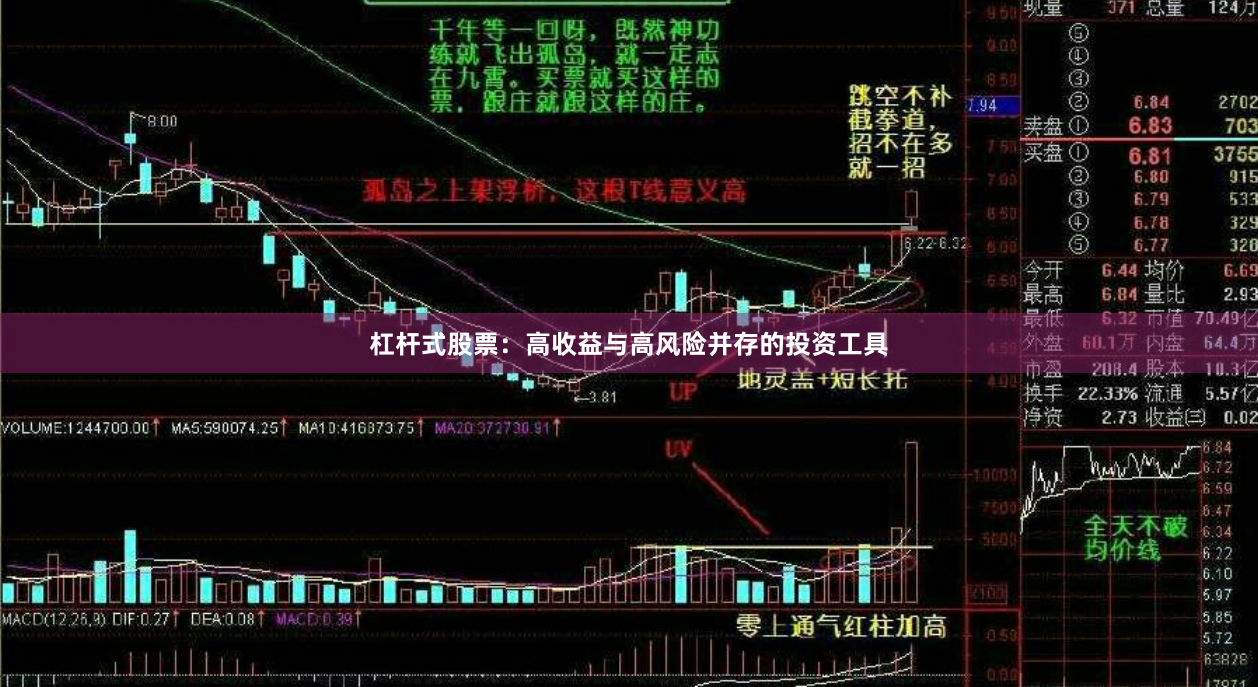 杠杆式股票：高收益与高风险并存的投资工具